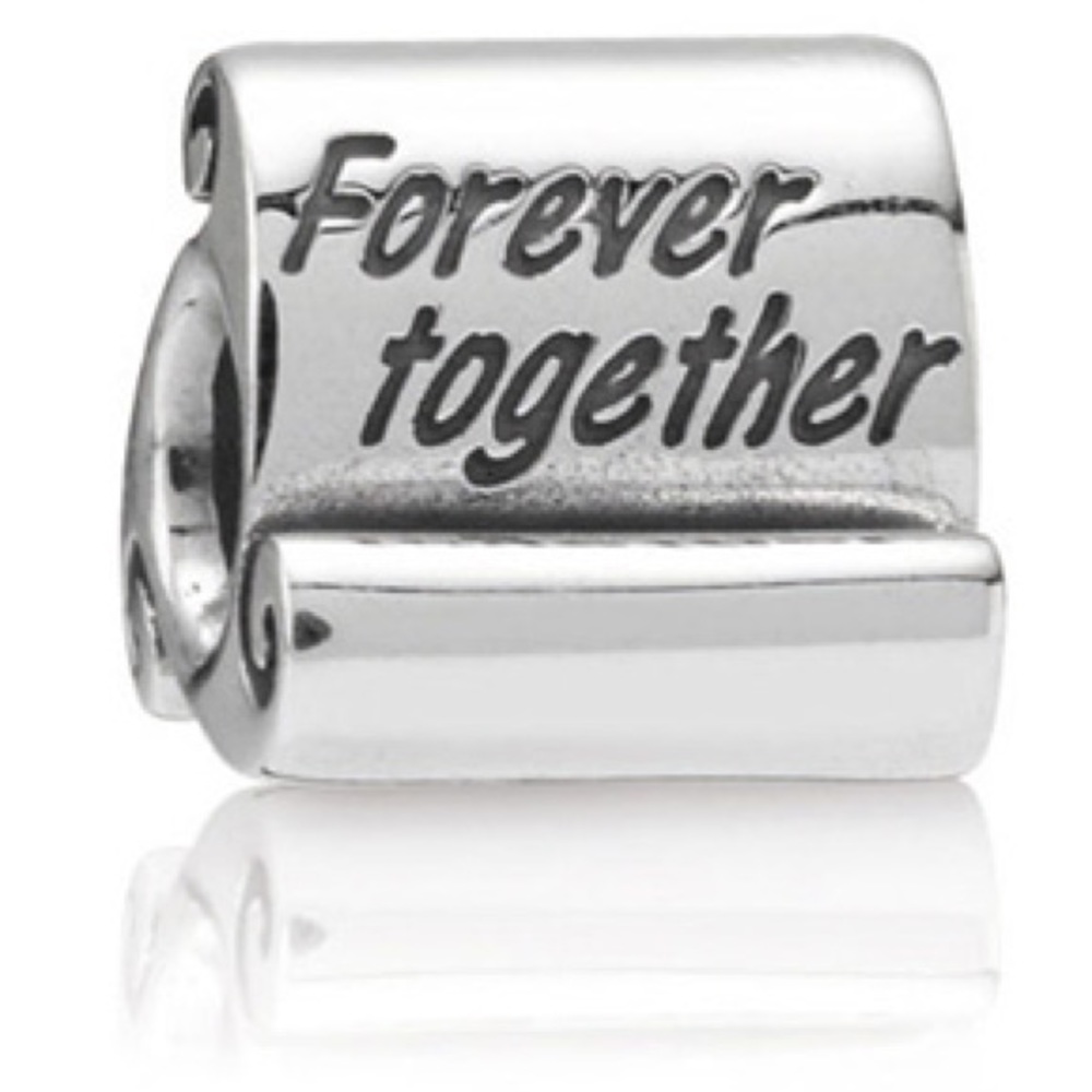Pandora forever together charm.
